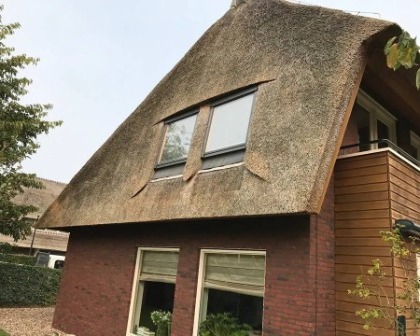 Renovatie rieten dak Heereveen