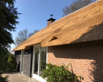 Nieuwe rieten daken