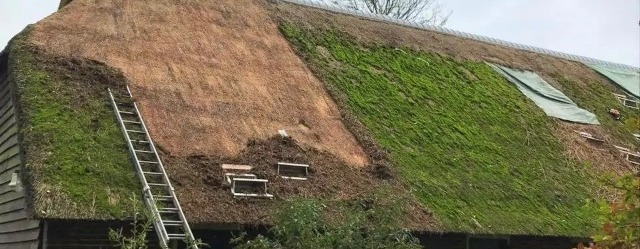 Voorjaarsonderhoud voor rieten daken