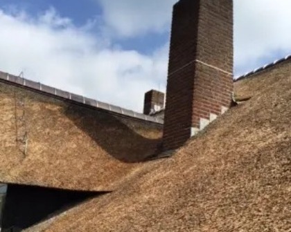 Renovatie rieten dak Ruinerwold