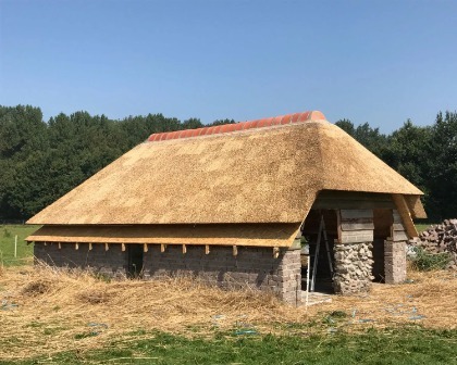 Rieten dak op oude schuur