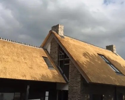 Nieuw rieten dak in Terherne