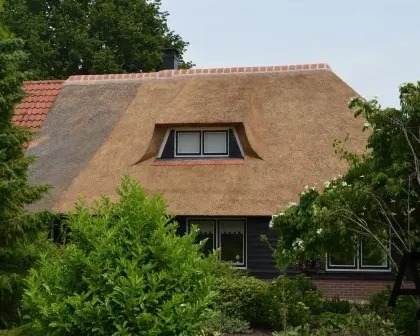 Nieuw rieten dak in Wanneperveen